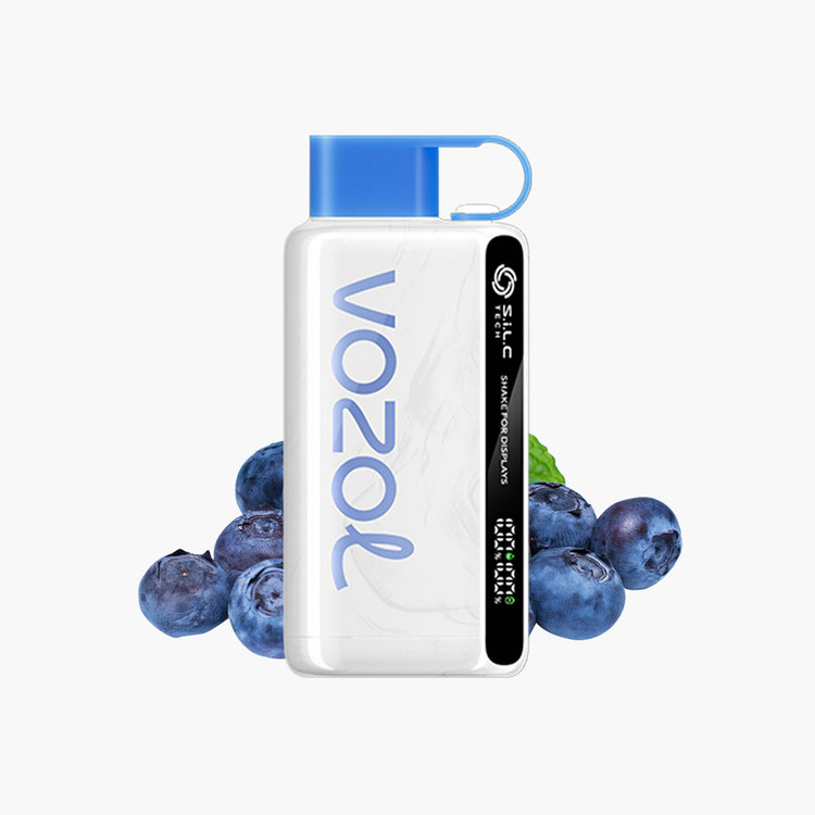 VOZOL STAR 12000 PUFF Blueberry Storm|پادمن شاپ|