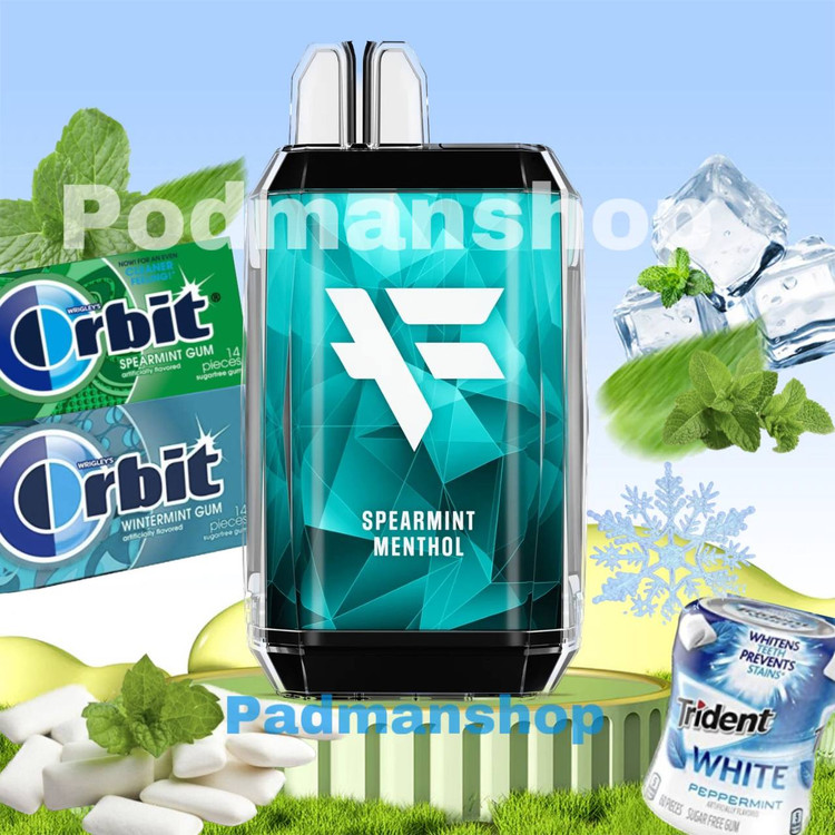 DINNER LADY FULY 8000 PUFFS Spearmint Menthol|پادمن شاپ|