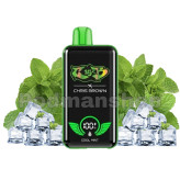 Chris Brown CB15K 15000 Puffs Disposable Vape - 15ML | پاد من شاپ |