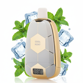 Insta Puff Ronaldinho 10 15K Disposable Vape