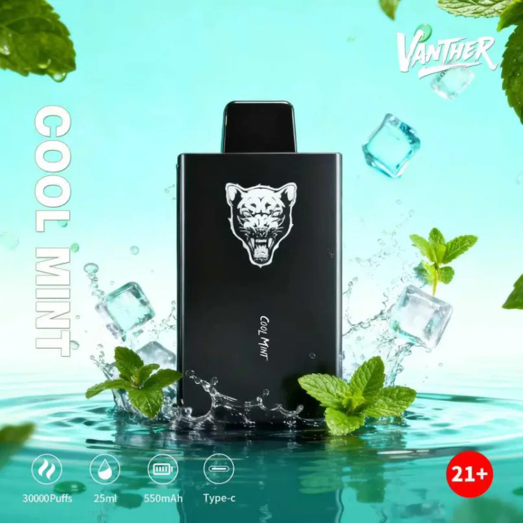 Vanther 30000 Puffs Disposable Vape