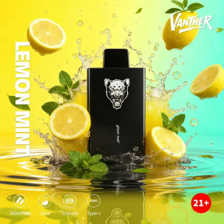 Vanther 30000 Puffs Disposable Vape