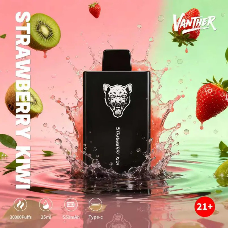 Vanther 30000 Puffs Disposable Vape